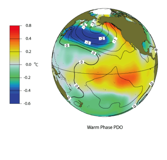 Spherical map of Pacific Ocean showing temperature patterns during the positive phase of the PDO
