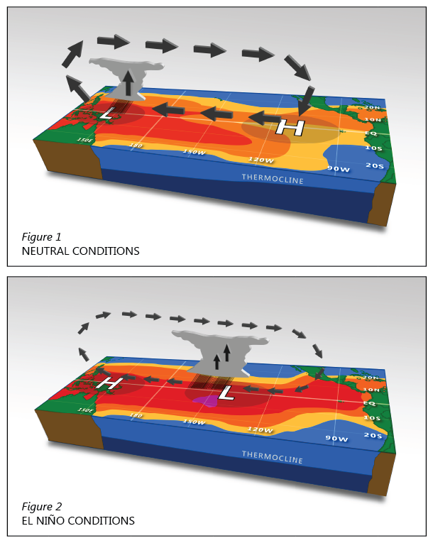 Image of illustrations showing state of the ocean, atmosphere, rainfall, pressure, and winds during ENSO conditions.