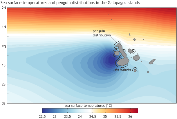 SSTs and penguin distribution