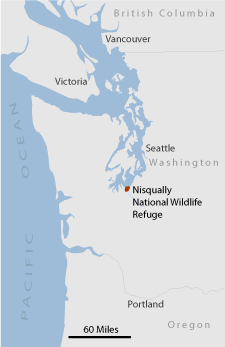 Nisqually Wildlife Refuge map