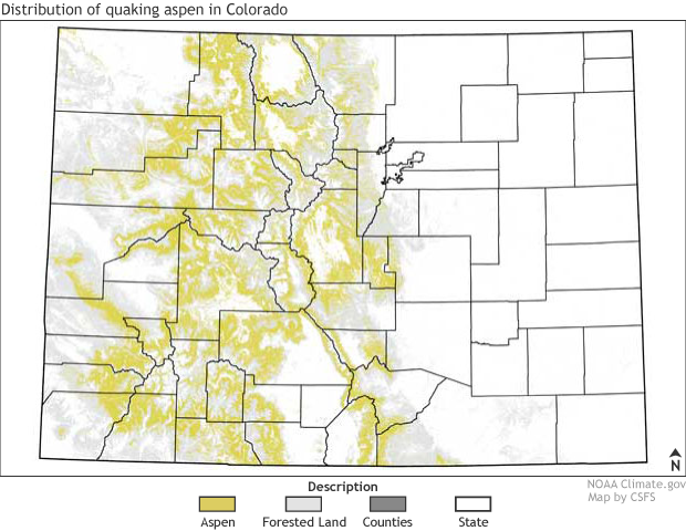 Quaking aspen map