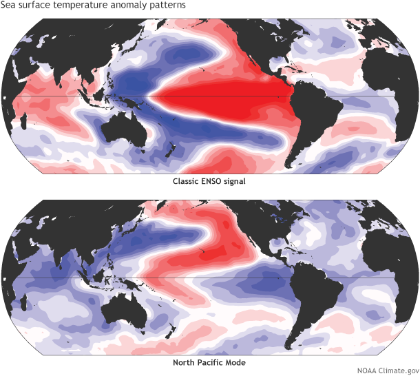 Two global maps comparing sea surface temperature patterns during ENSO and the North Pacific Mode