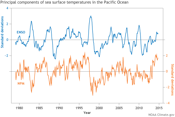 Line graphs showing the principal components of variation in sea surface temperature during El Niño and the North Pacific Mode