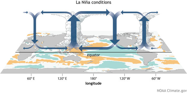schematic of Walker circulation during La Niña