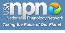 NPN logo