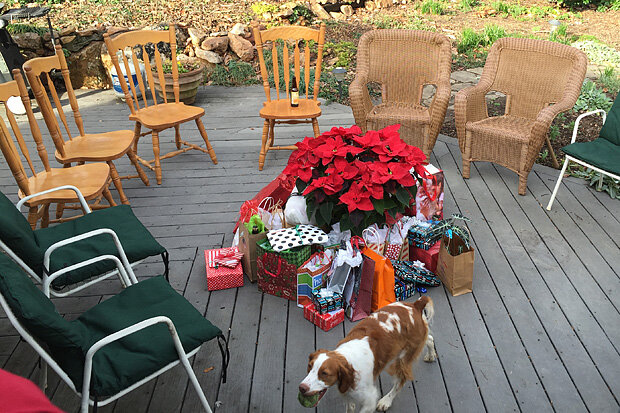 Presents and chairs around a poinsettia "tree"