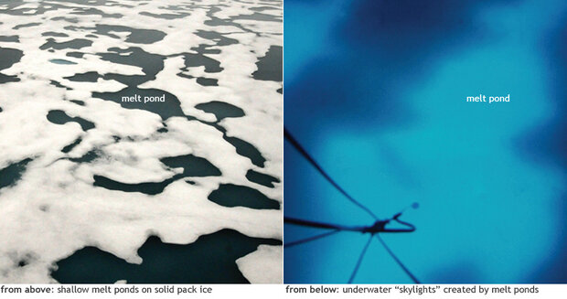 Sea ice from above and below