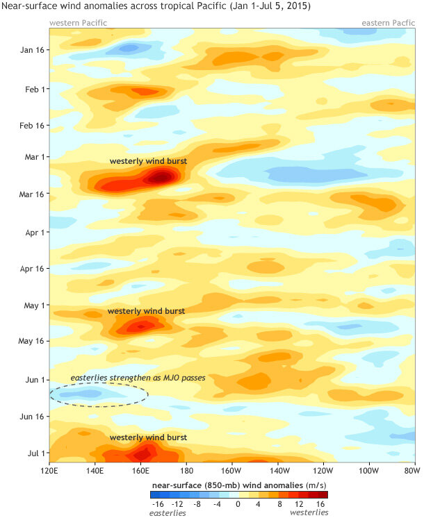 Near-surface wind anomalies across tropical Pacific (Jan 1-Jul 5, 2015)