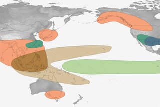 Map image for Global impacts of El Niño and La Niña