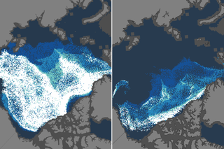 Map image for 2021 Arctic Report Card: Winter sea ice pack likely thinnest on record