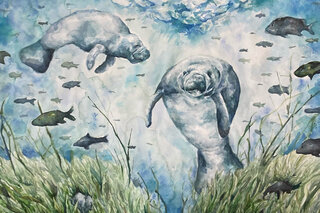 Map image for &#039;Swimming with Manatees&#039; from the Art x Climate Gallery