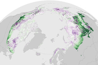 Map image for 2024 Arctic Report Card: The Arctic tundra is now a net source of carbon dioxide