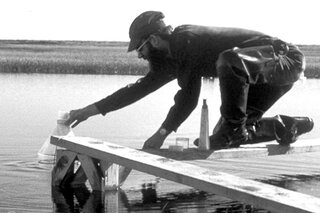 Map image for With warming, plants are swallowing ponds in Alaskan Arctic