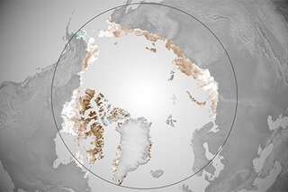 Map image for Arctic tundra “browning down” over past few years
