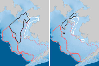 Map image for 2019 Arctic Report Card: At gateways to the Arctic, northern fish are retreating