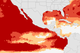 Map image for El Niño revs up coral bleaching threat in the Caribbean