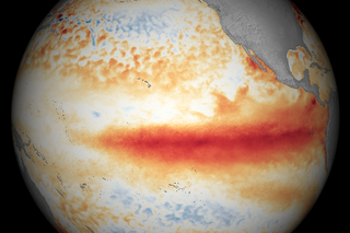 Map image for El Niño warmth continued during January 2016