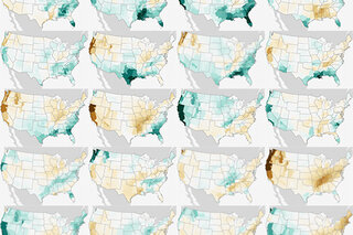 Map image for U.S. winter precipitation during every El Niño since 1950