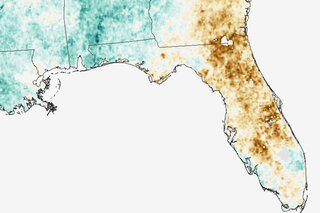 Map image for A look at drought in Florida from a surveillance system that doesn’t need rainfall data 