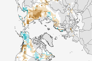 Map image for 2013 Arctic Report Card: Spring snow cover below average again