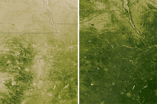 Map image for Plants as drought detectors in the U.S. Great Plains