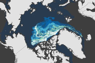 Map image for 2013 Arctic Report Card: Only 7 percent of the ice cover at the end of winter 2013 was old, thick ice 