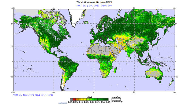 Example thumbnail image for Global Vegetation Health - Images
