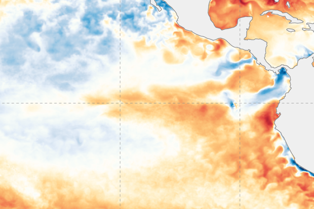 sea surface temperature