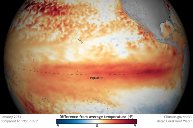 Ocean--Monthly--Difference-from-average-Sea-Surface-Temperature--Pacific--2024-01-00--small image