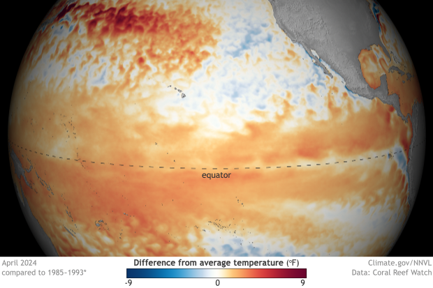 Spherical-style map of Pacific Ocean showing temperature patterns