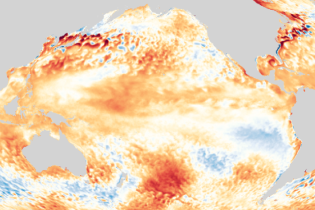 Graphic of January 2020 sea surface temperature departure from the 1981-2010 average