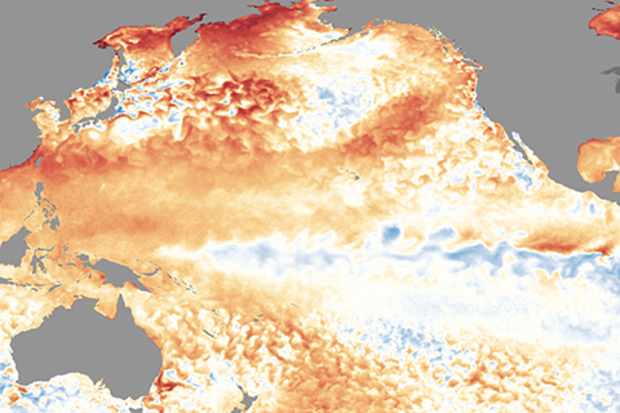 Sea surface temperature anomaly map