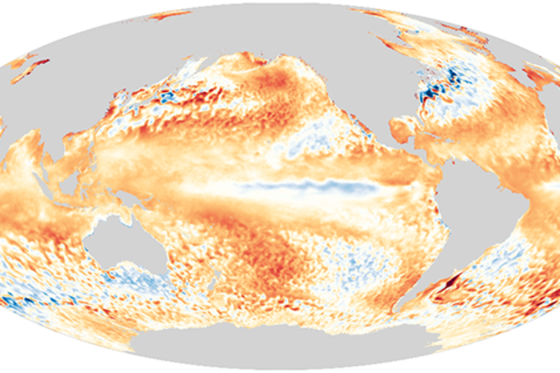 Global difference from average sea surface temperature 