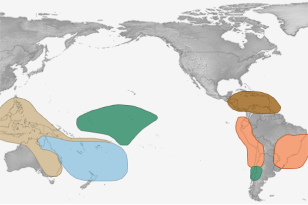 Map of temperature and precipitation patterns that are typical of summertime El Niño conditions.