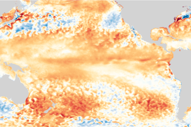 Image of sea surface temperature in May 2019 compared to the 1981–2010 average.