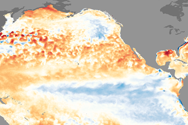 Sea surface temperature anomaly map