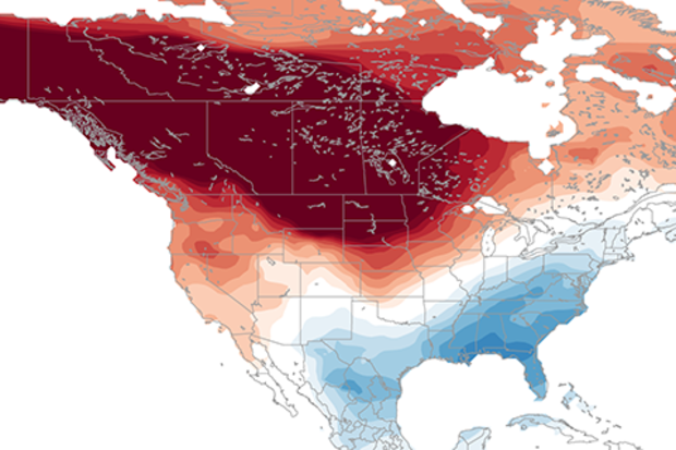 Temperature anomaly map