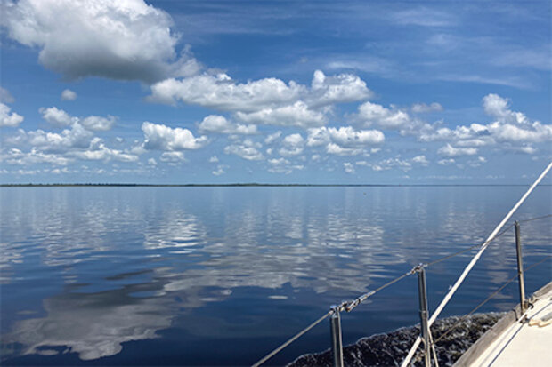 Calm July morning on the Alligator River, NC