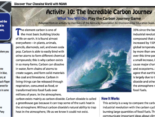 The Incredible Carbon Journey