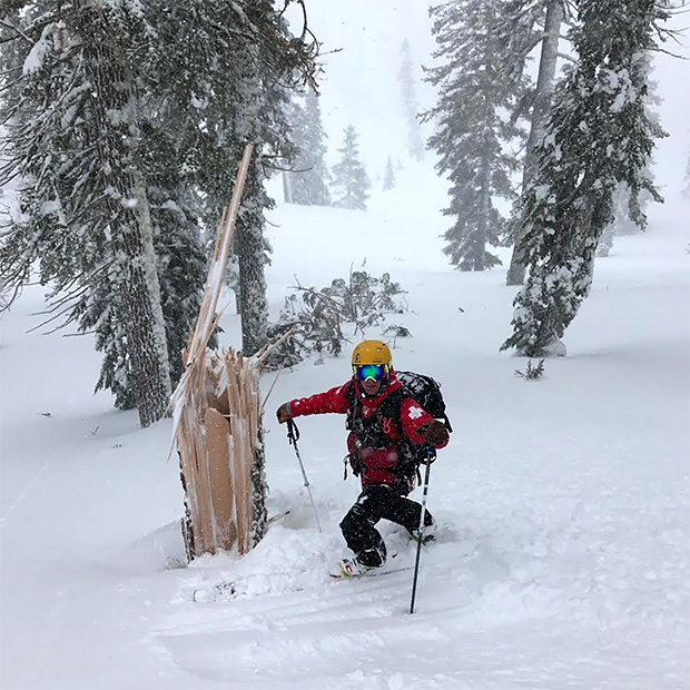 A photo of a back country skier next to a tree damaged by record-setting winds