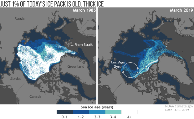 2019 Arctic Report Card: Old, thick ice barely survives in today’s Arctic