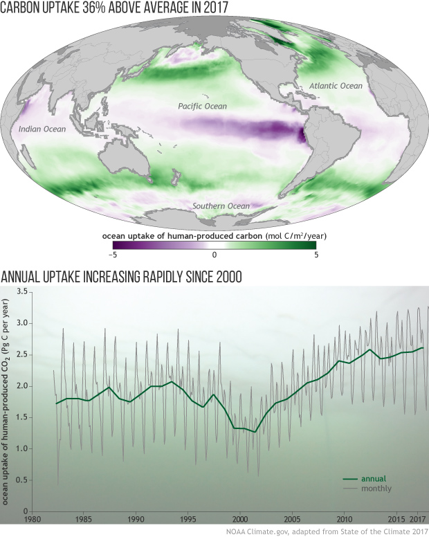 2017 State of the climate: Ocean uptake of human-produced carbon