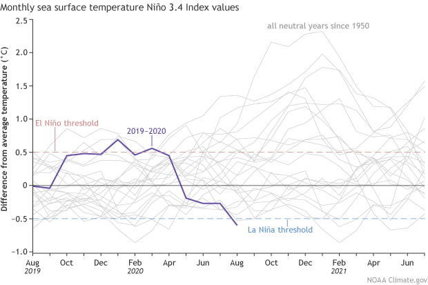 Monthly SST values