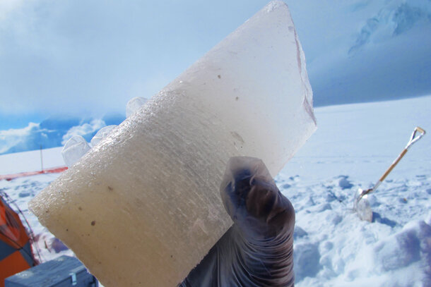 Ice core segment in field