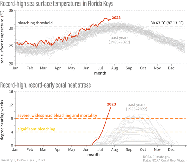 Two line graphs showing water conditions in July 2023 compared to normal