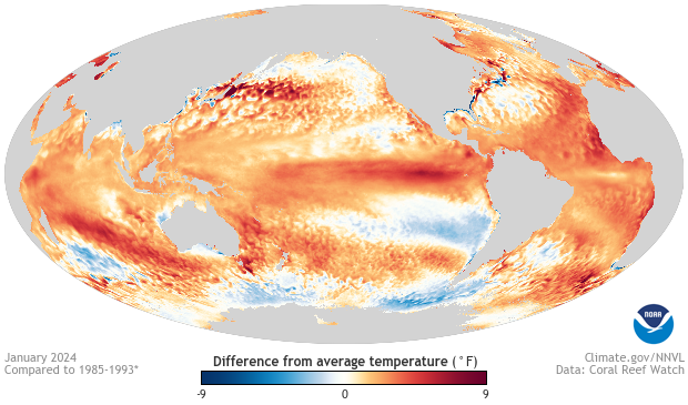 Ocean temperature anomalies for January 2024. Reds almost everywhere indicate above-average temperatures. Blues off South America indicate below-average temperatures.