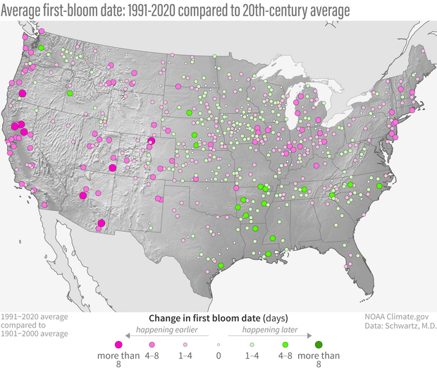 Change in first bloom 1991-2020 versus 1901-2000