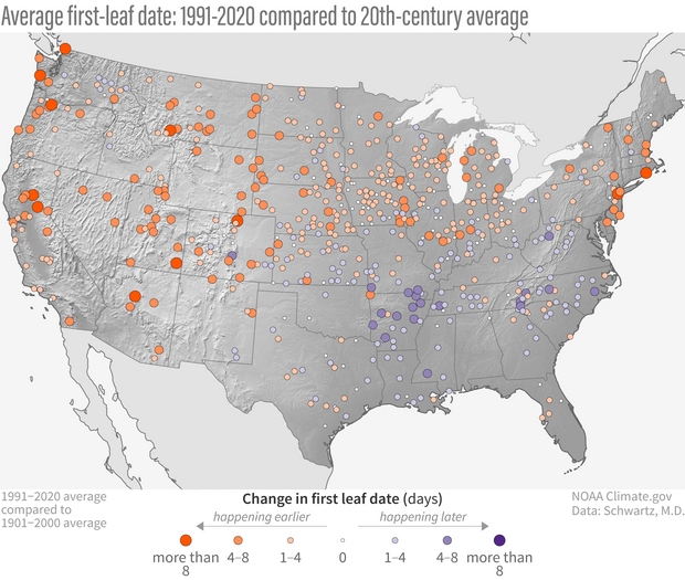 Change in first leaf 1991-2020 versus 1901-2000