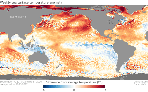 Weekly sea surface temperature anomaly