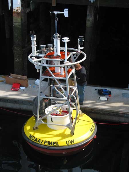 Buoy in ocean